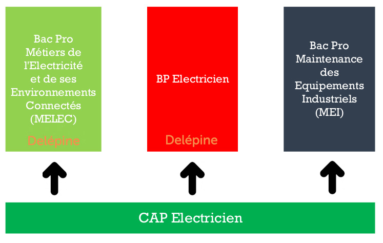 Graphique présentant les poursuites d'étude possibles après un CAP Electricien au CFA Delépine.